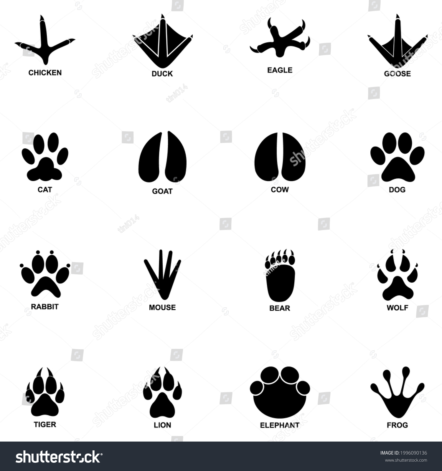 Animal Footprint Icon Set Vector Sign Stock Vector (royalty Free 