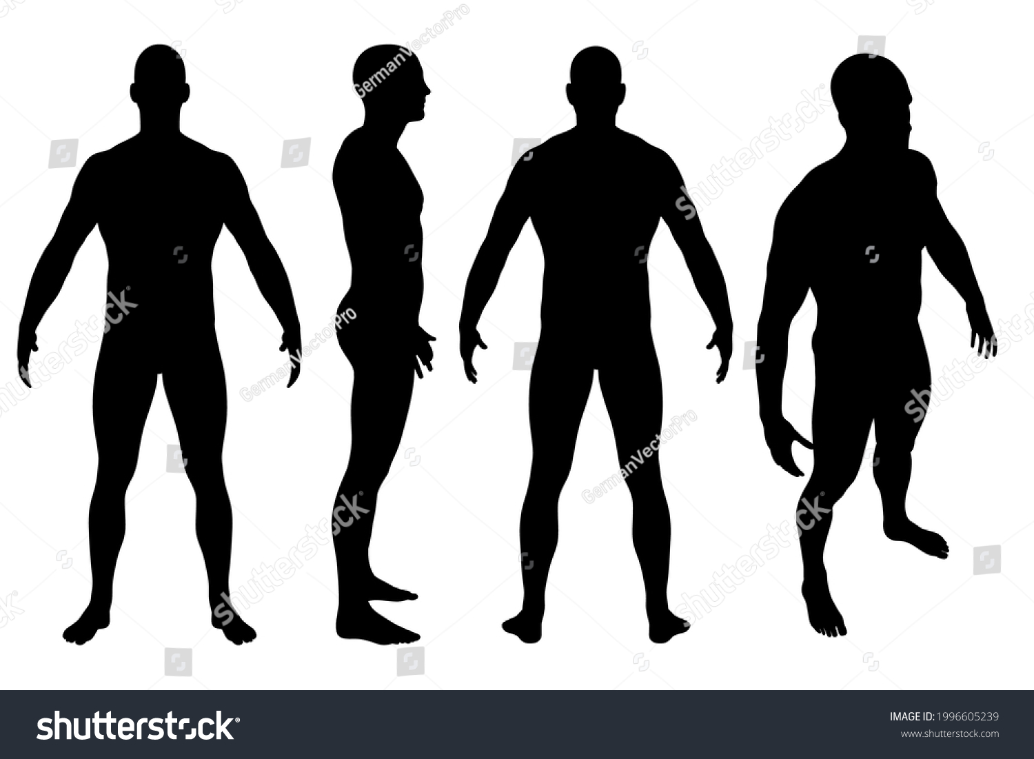 Set Silhouette Naked Standing Man Isolated Stock Vector Royalty Free 1996605239 Shutterstock 