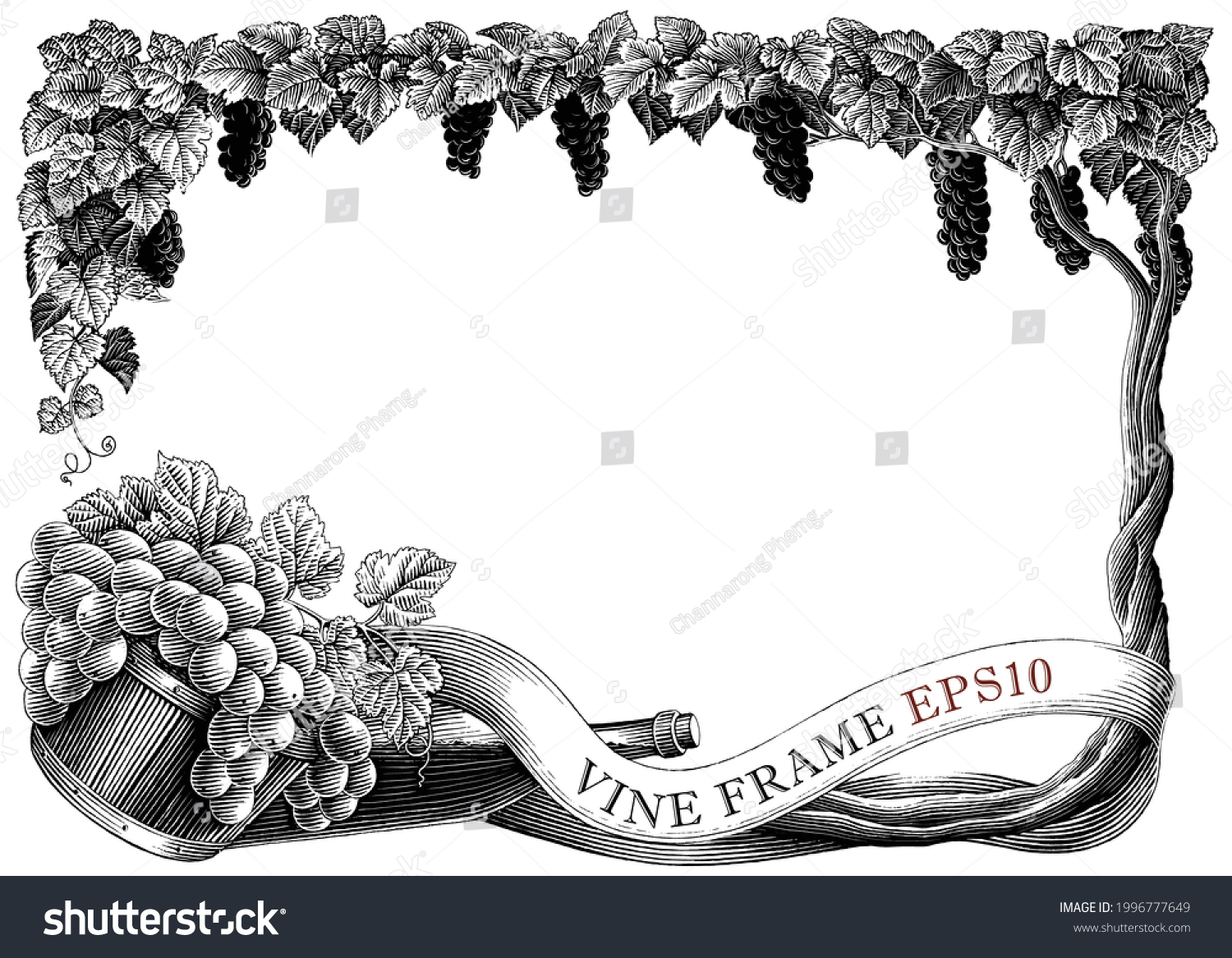 Vine Frame Hand Draw Vintage Engraving Stock Vector (Royalty Free ...