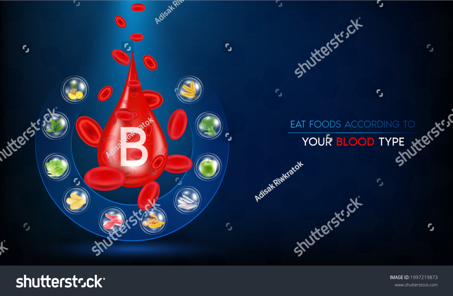 blood-group-b-best-food-vegetable-stock-vector-royalty-free