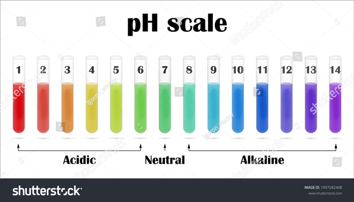 Ph Value Scale Chart Acid Alkaline Stock Vector (Royalty Free ...