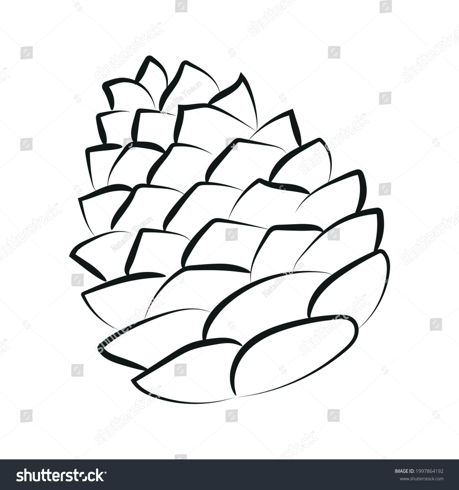 Outline Set Drawing Cone Vector Illustration Stock Vector (Royalty Free ...