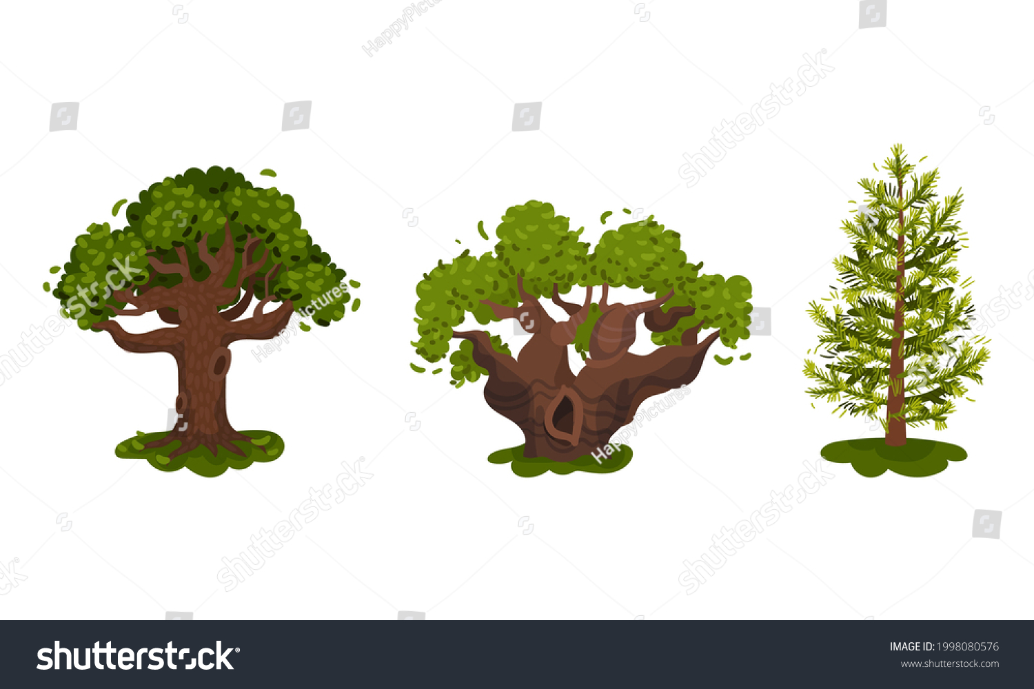 Different Trees Perennial Plant Trunk Branches Stock Vector (Royalty ...