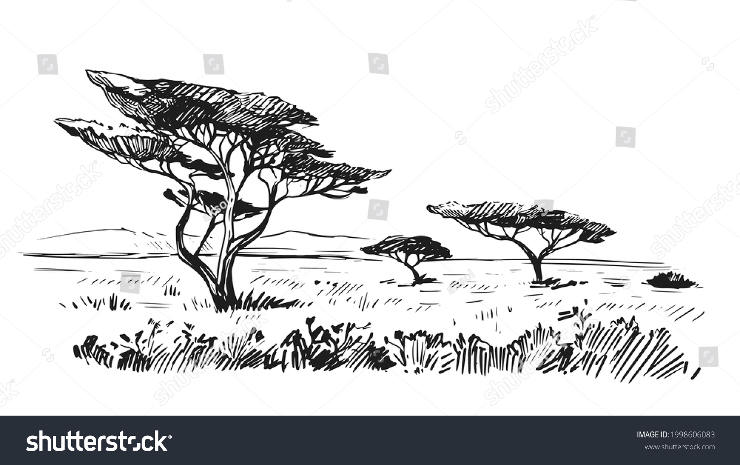 Sketch African Savanna Landscape Trees Black Stock Vector (Royalty Free