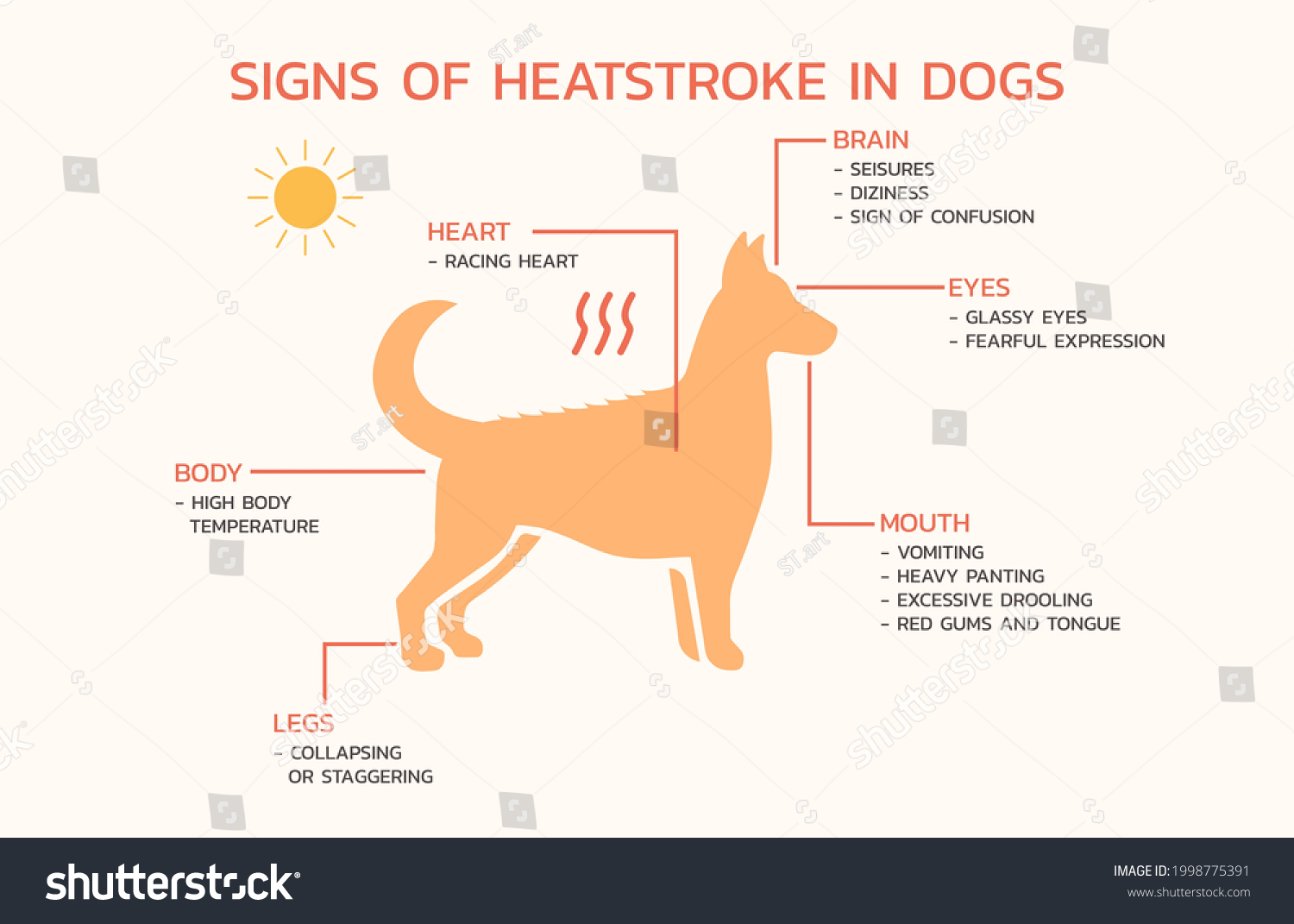 Infographic Sign Heatstroke Dog Flat Vector Stock Vector (Royalty Free ...