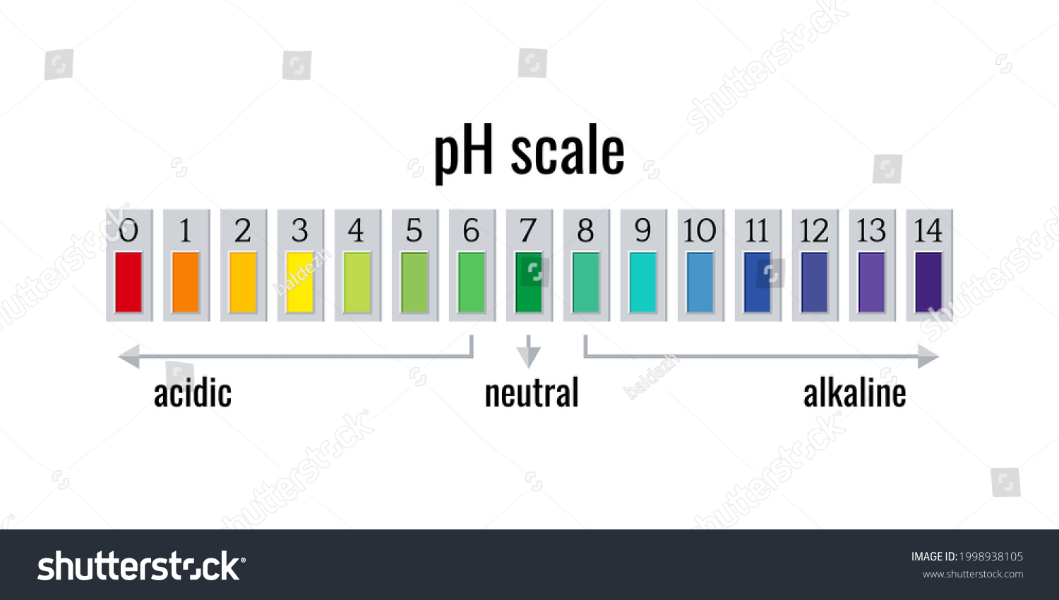 Ph Scale Chart Meter Acid Alkaline Stock Vector (Royalty Free ...