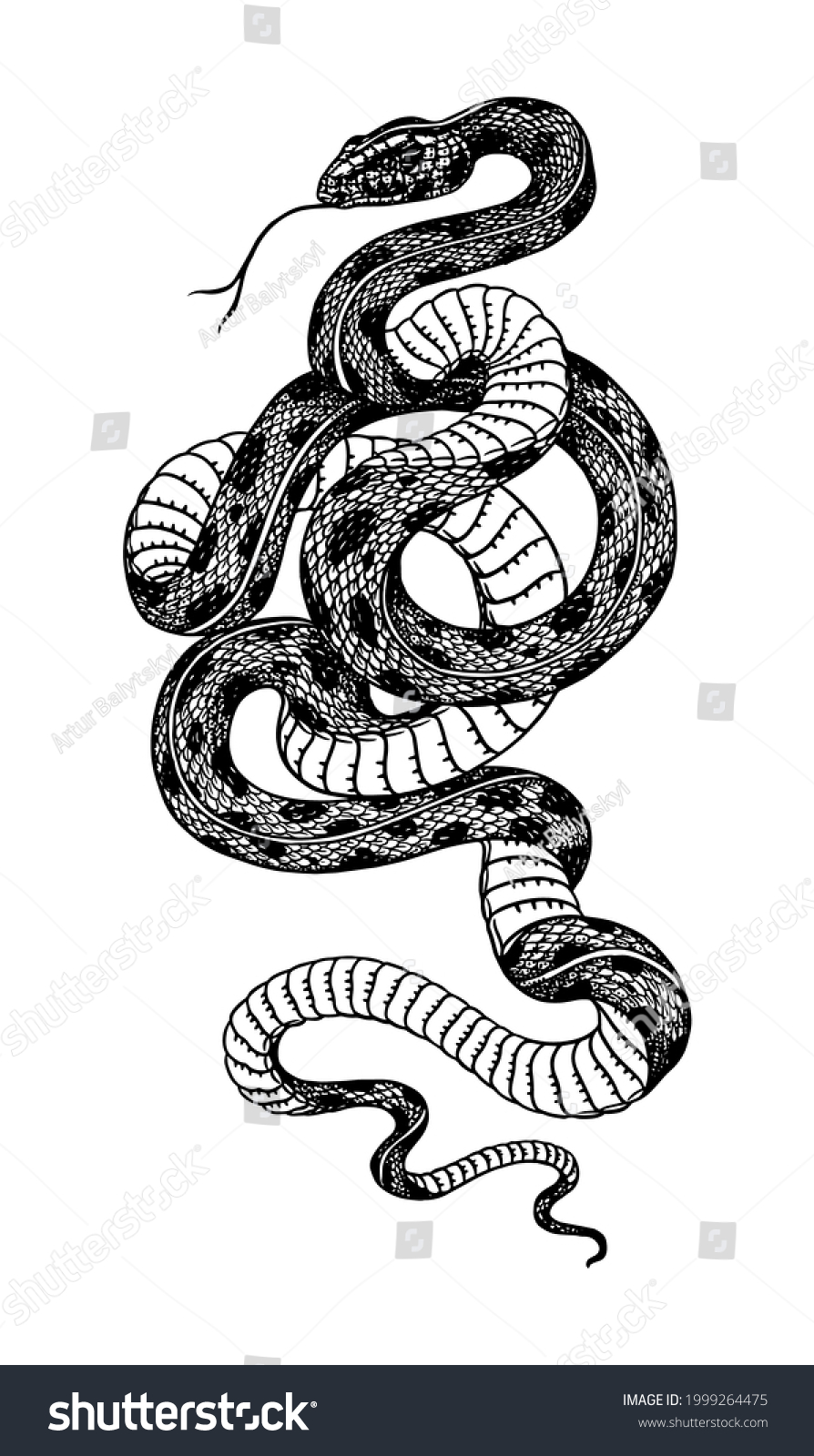 Pit Viper Crotaline Snake Pit Adders Stock Vector (Royalty Free ...