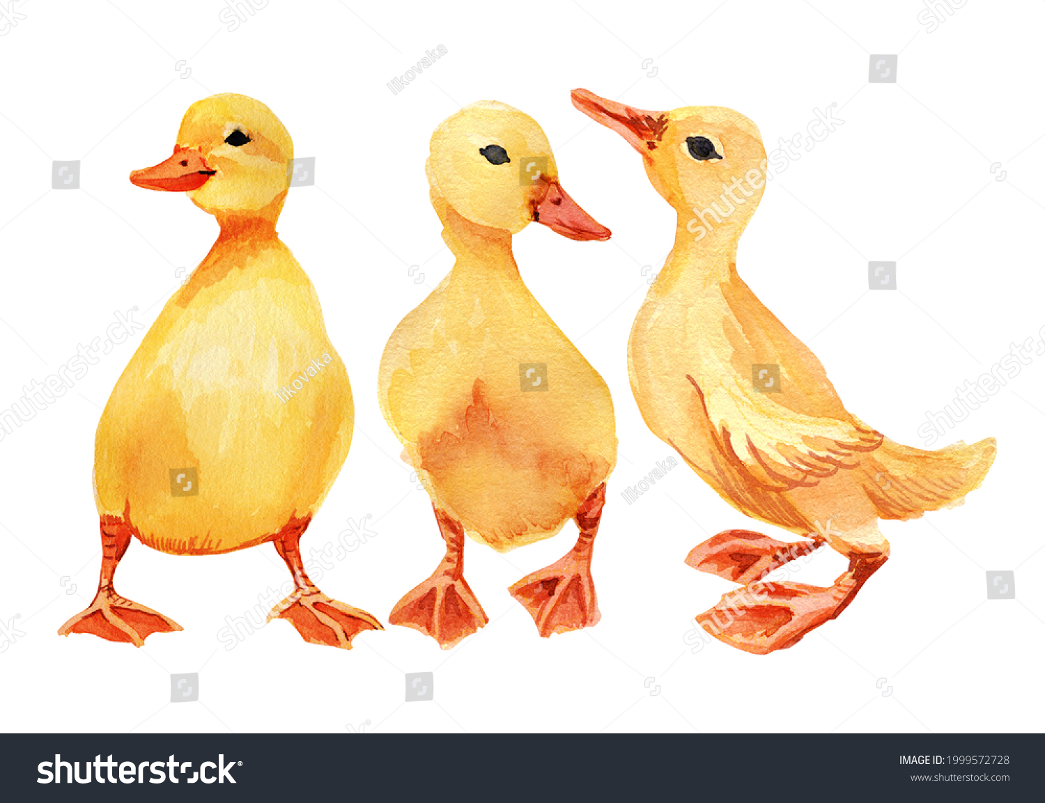 Print Kids Room Yellow Cute Ducklings Stock Illustration 1999572728 