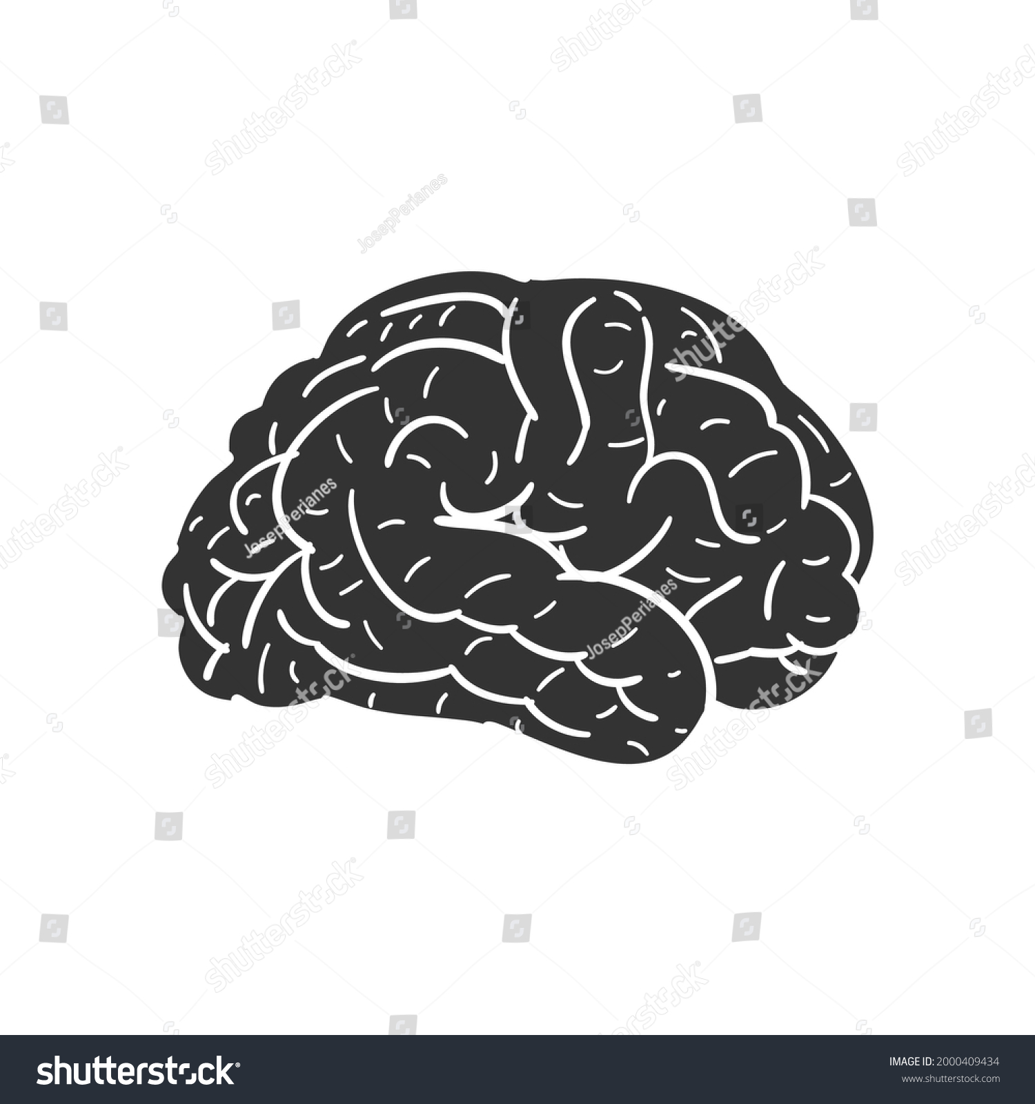 Brain Anathomy Icon Silhouette Illustration Human Stock Vector (Royalty ...