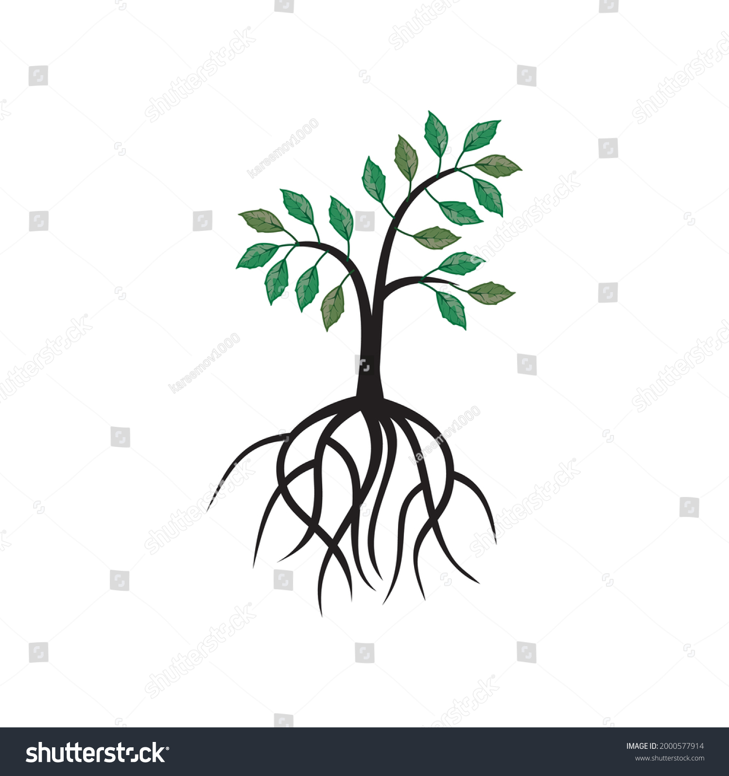 Tree Roots Vector Image Stock Vector (Royalty Free) 2000577914 ...