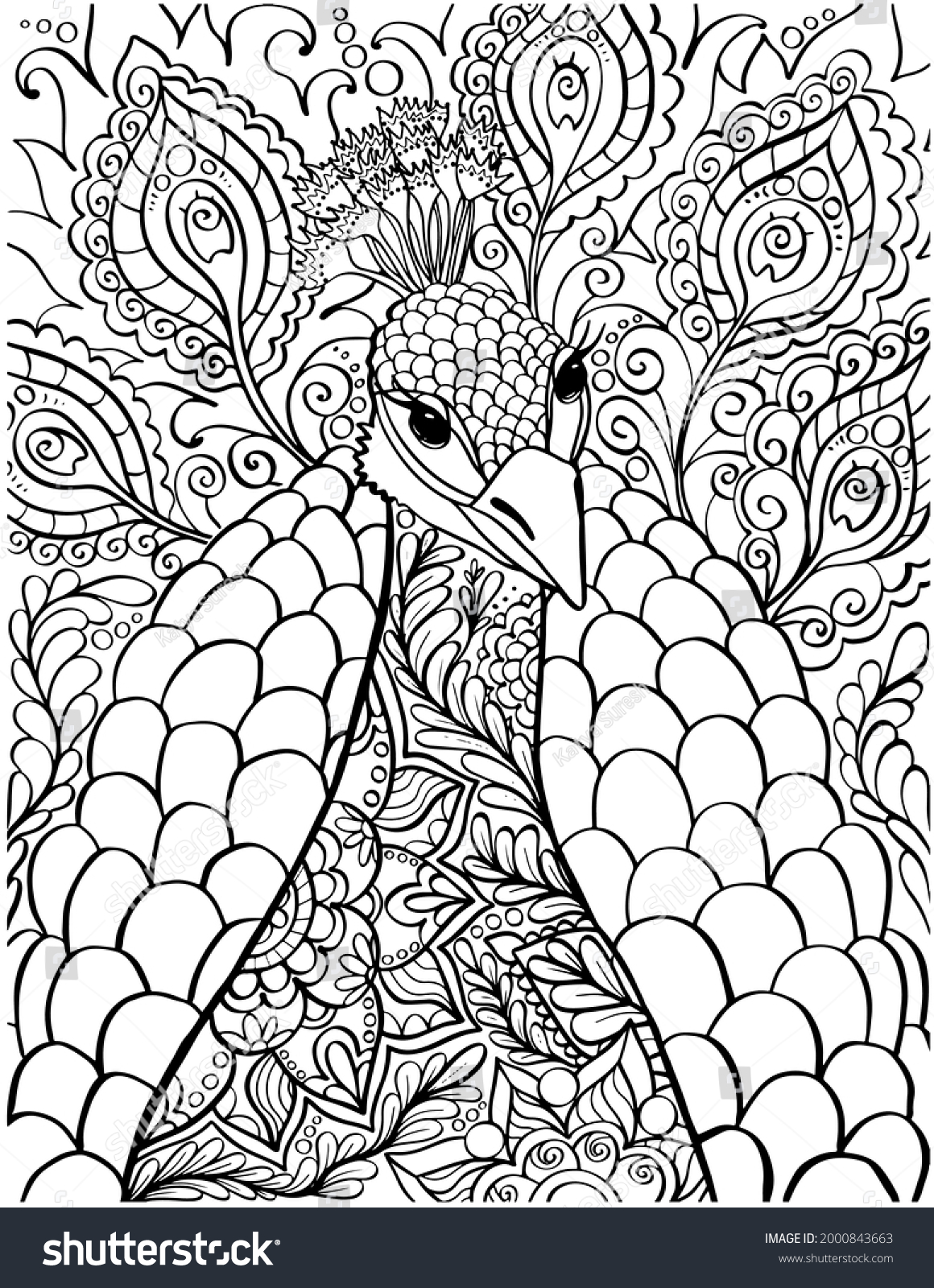 Ornamental Peacock Adult Coloring Book Page Stock Vector (Royalty Free ...