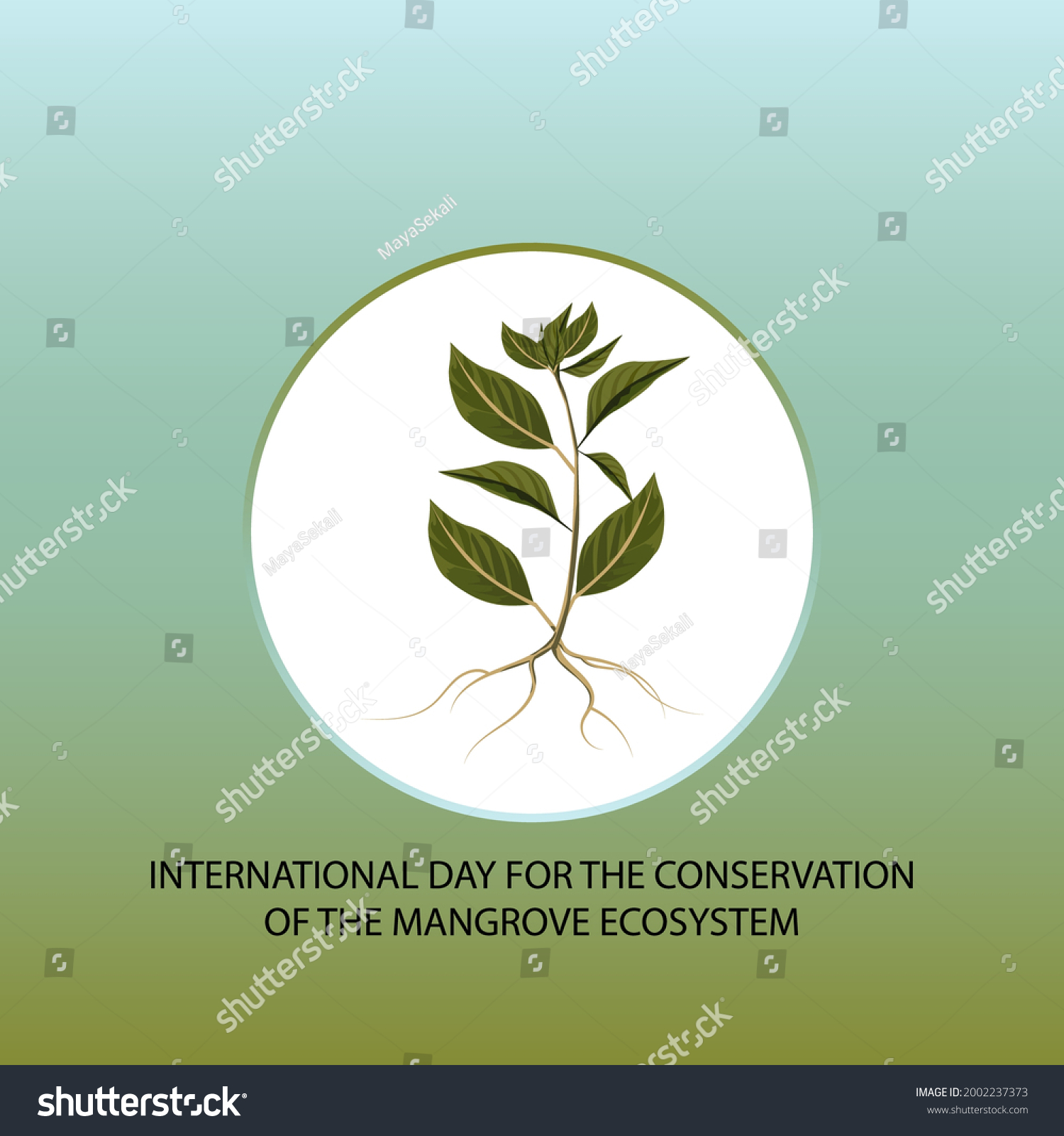 International Day Conservation Mangrove Ecosystem Web Stock Vector