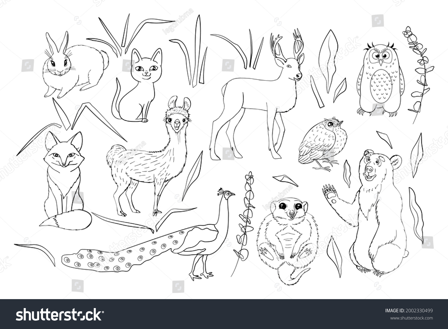 Kids Coloring Page Cute Woodland Animals Stock Illustration 2002330499 ...