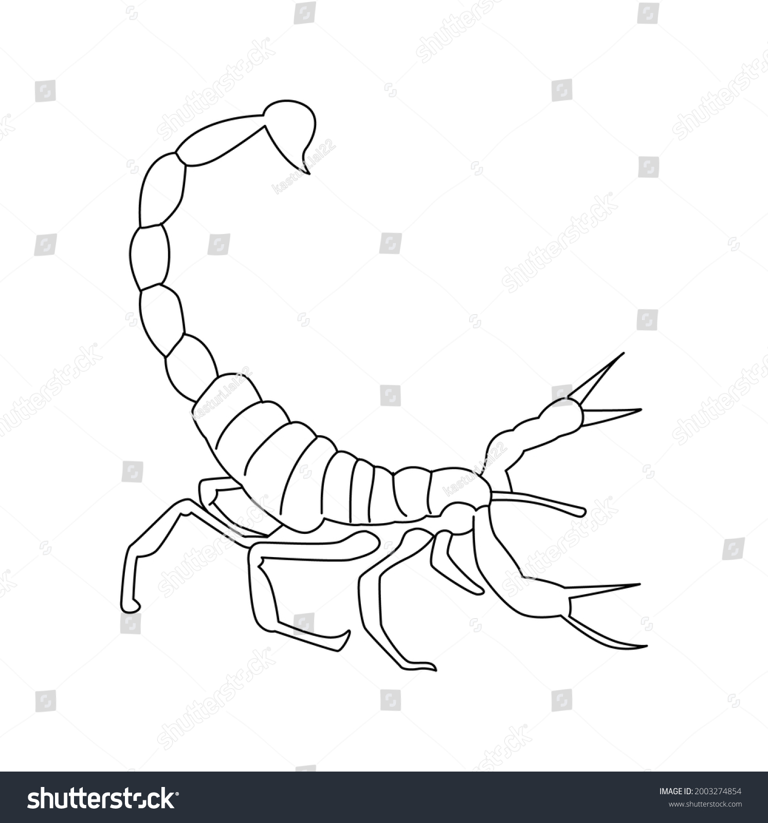 Scorpion Line Drawing Clip Art Stock Vector (Royalty Free) 2003274854 ...