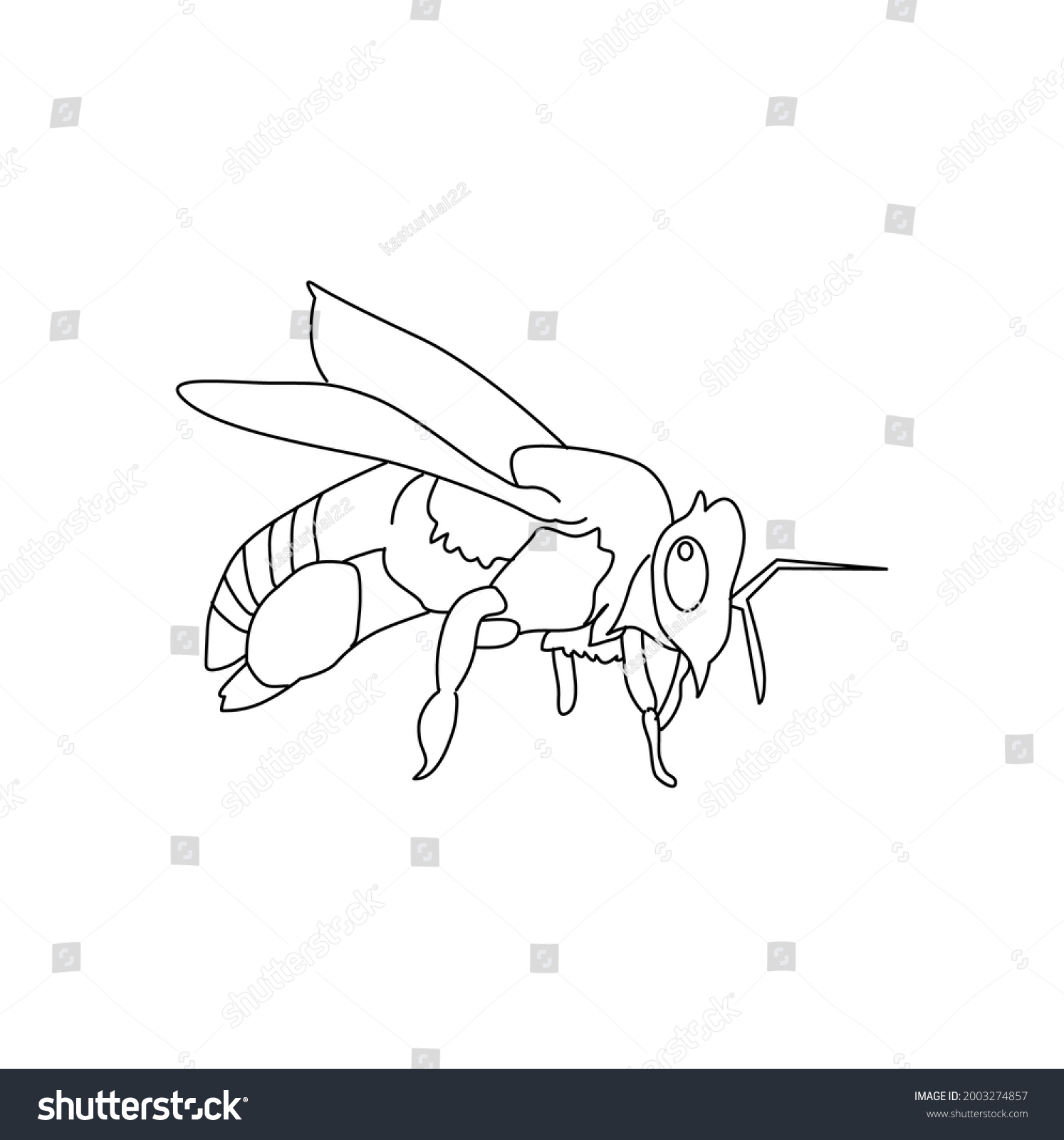 Hone Bee Line Drawing Clip Art Stock Vector (Royalty Free) 2003274857 ...