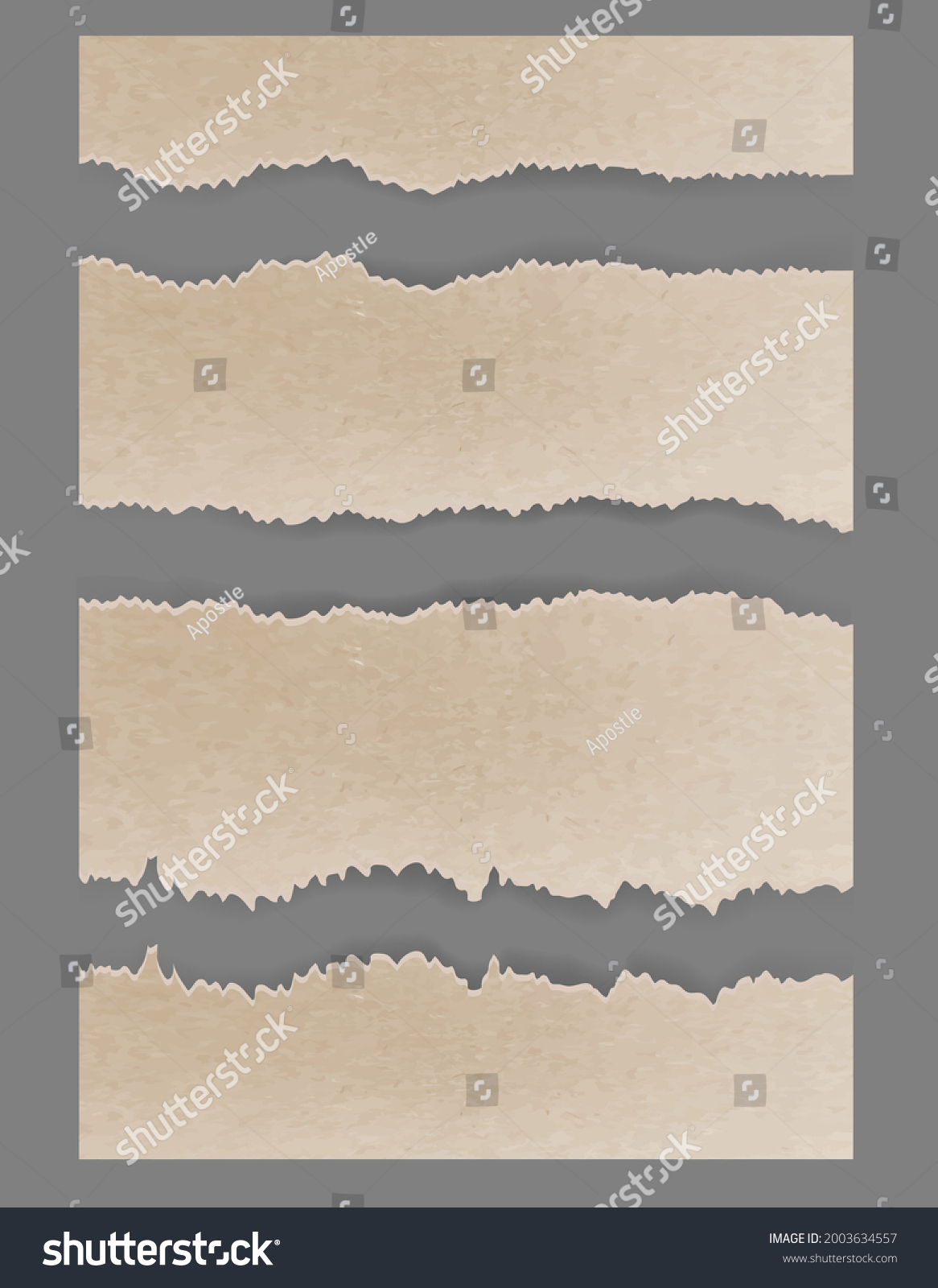 Torn Ripped Cardboard Textured Vector Stock Vector (Royalty Free ...