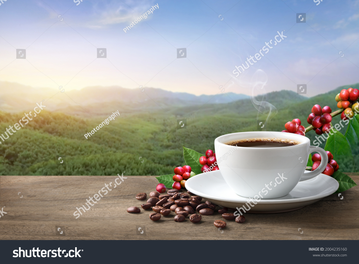 Hot Coffee Coffee Beans On Mountain Stock Photo 2004235160 | Shutterstock