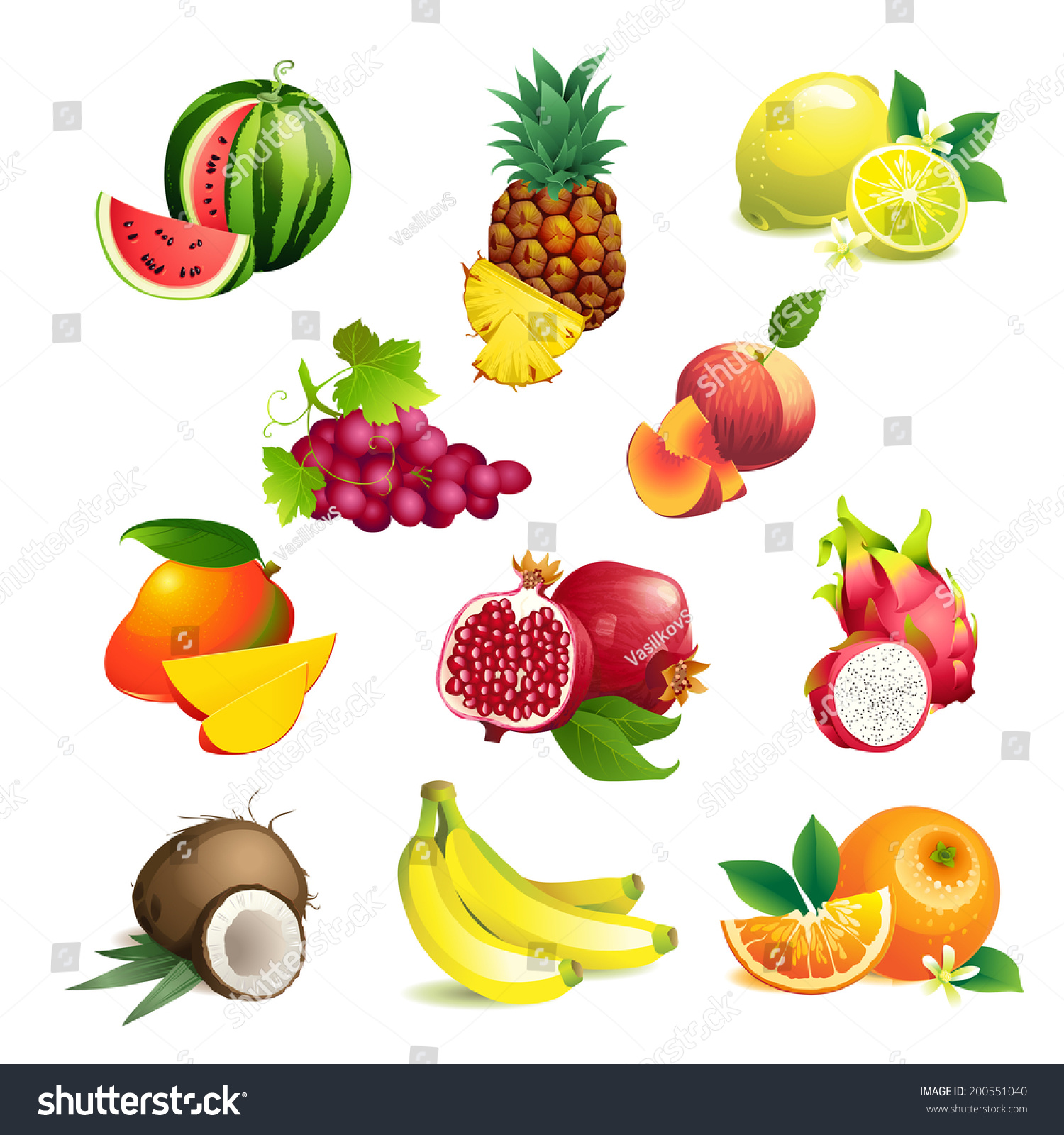 Set Vector Illustration Icons Tropical Fruits Stock Vector (Royalty ...