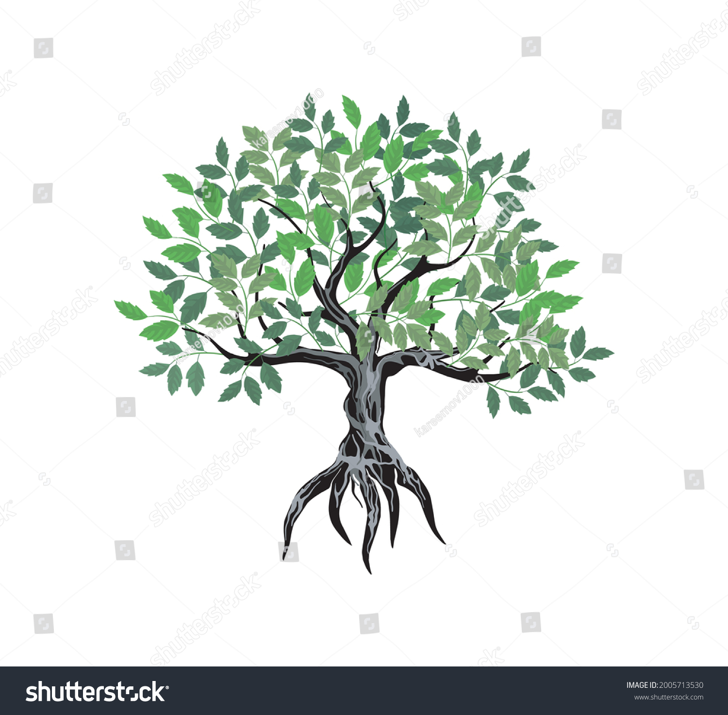 Teak Tree Vector Image Strong Roots Stock Vector (Royalty Free ...