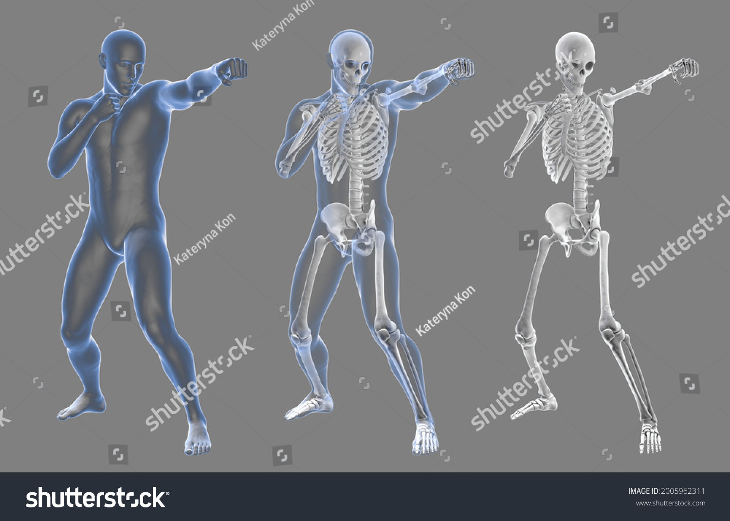 Anatomy Boxing Sport 3d Illustration Human Stock Illustration 2005962311 Shutterstock 4605