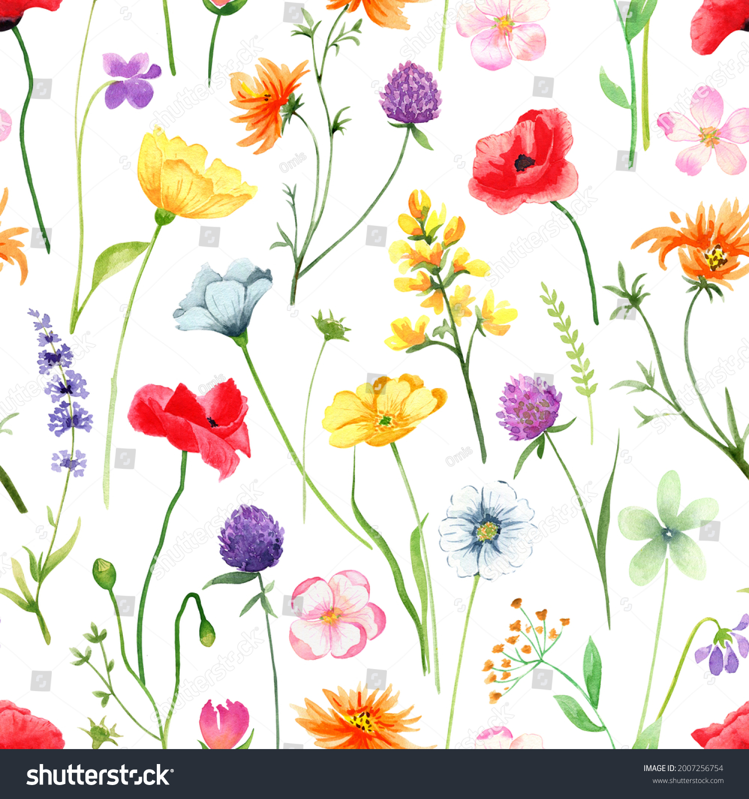 Wildflowers Seamless Pattern Bright Meadow Flowers Stock Illustration ...