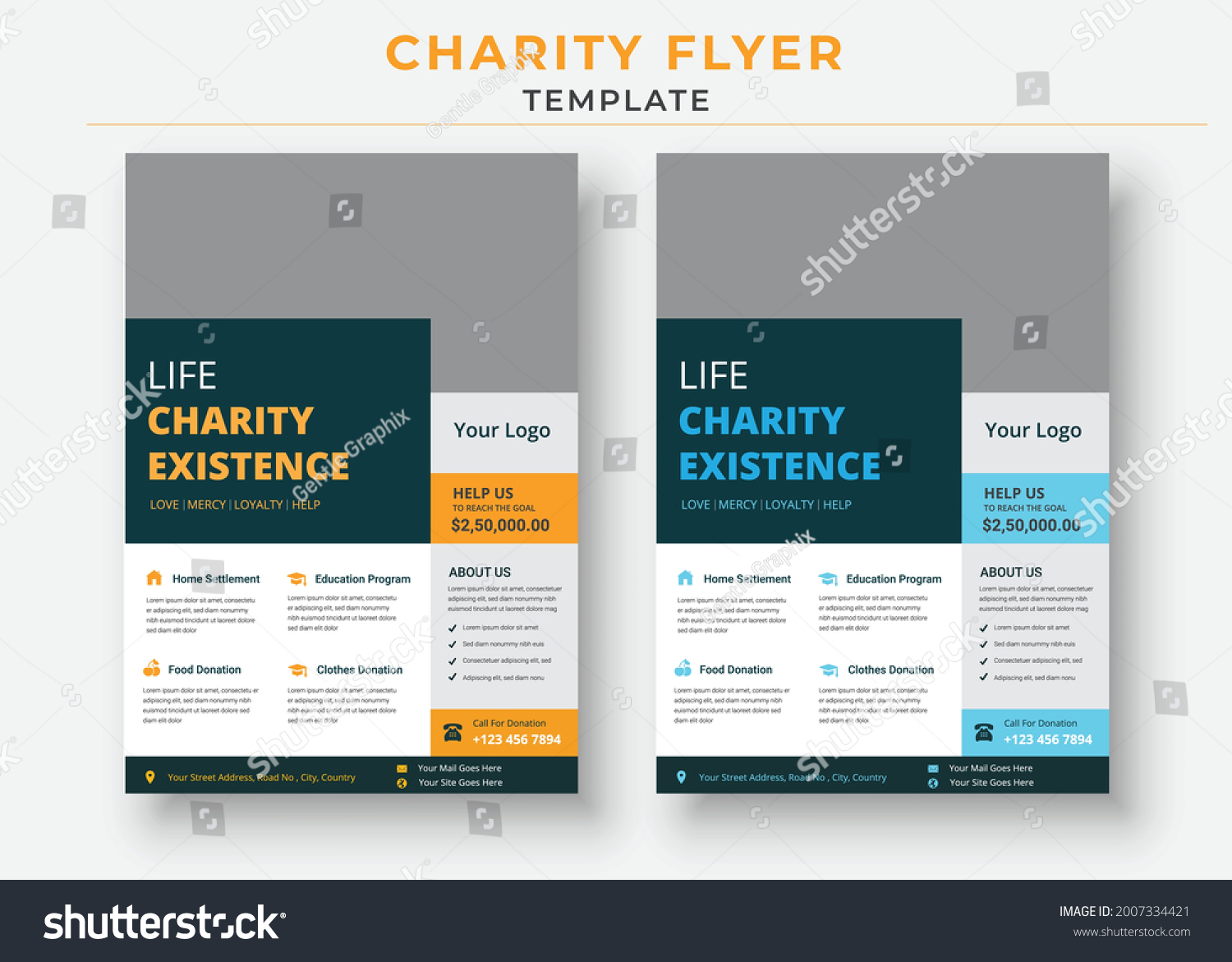 Charity Flyer Template Life Charity Existence Stock Vector (Royalty ...