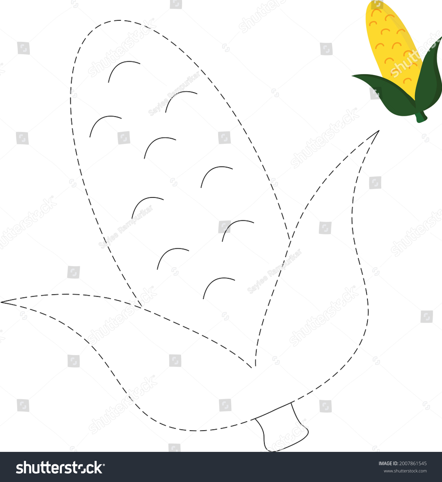 Corn Cob Tracing Worksheet Kindergarten Activity Stock Vector (Royalty