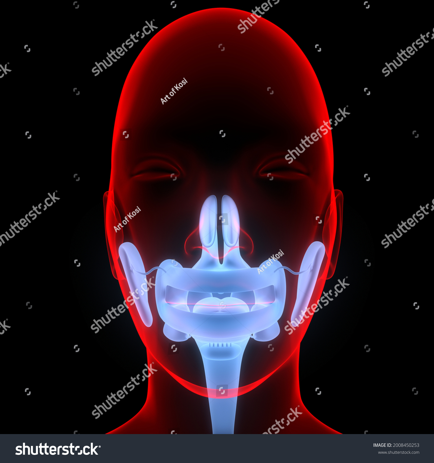 Human Digestive System Mouth Anatomy 3d Stock Illustration 2008450253