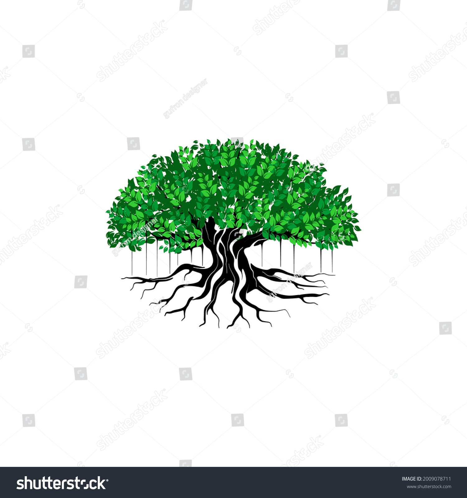 Great Banyan Tree Vector Illustration Hanging Stock Vector (Royalty ...