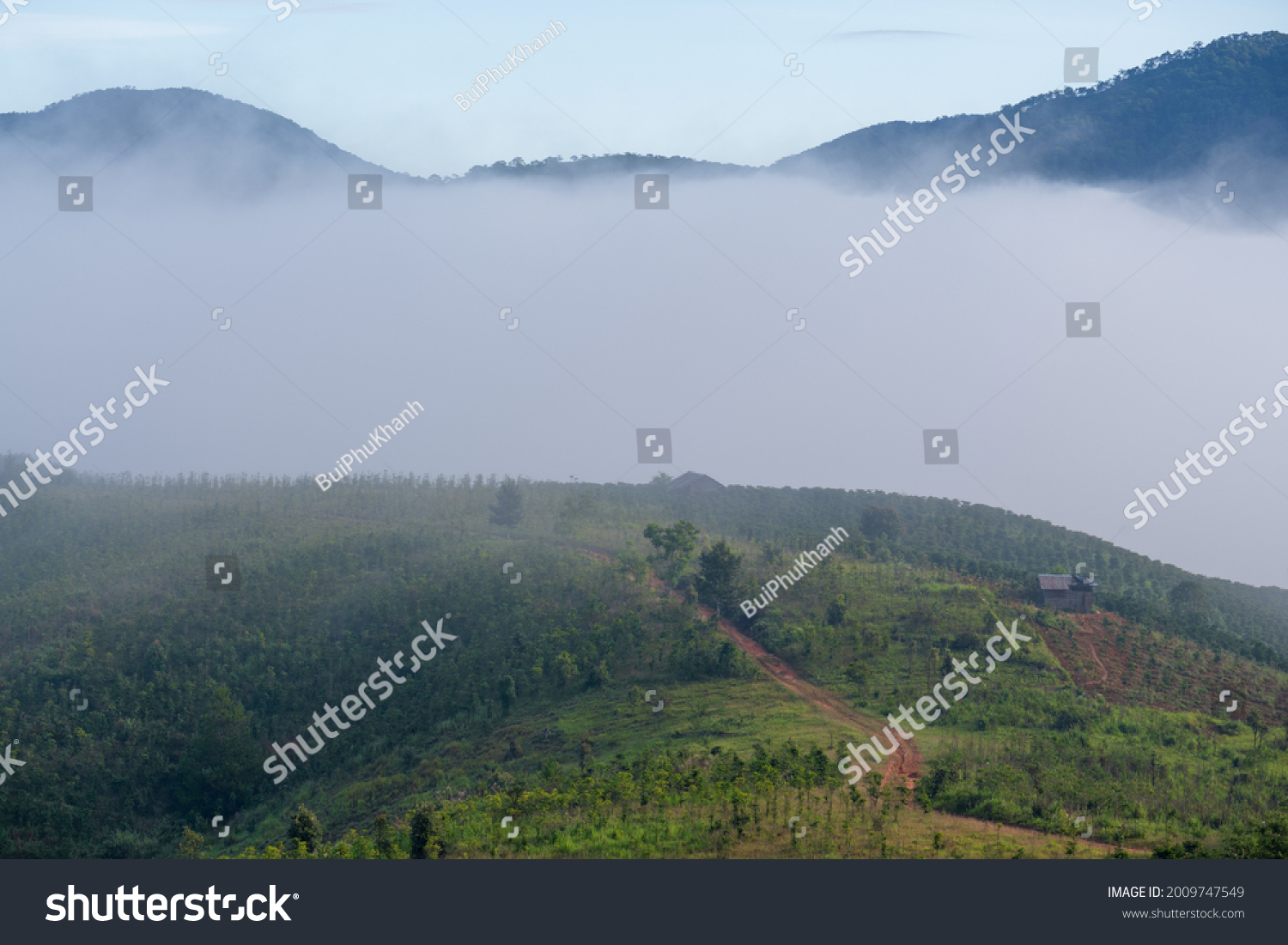 Deforestation Southeast Asia Environment Stock Photo 2009747549 ...