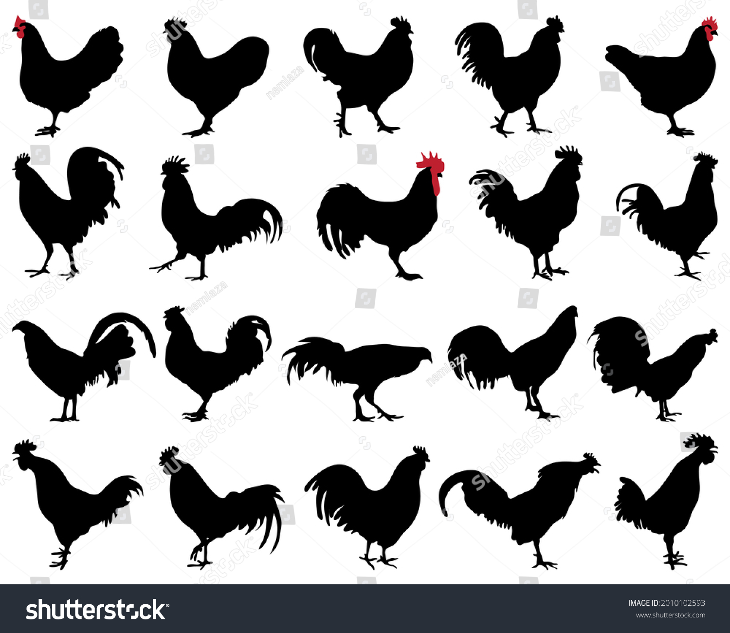 12965 Outline Cock Images, Stock Photos & Vectors