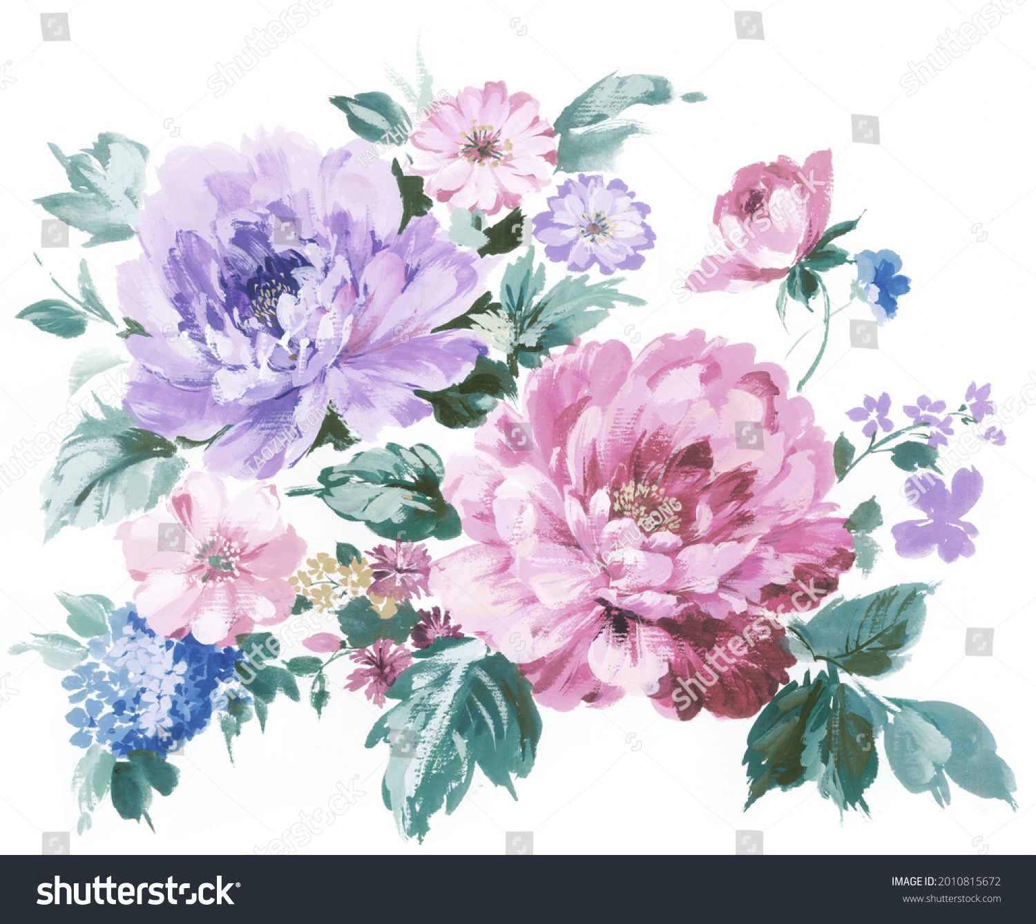 Flowers Watercolor Illustrationmanual Composition Set Watercolor Stock ...