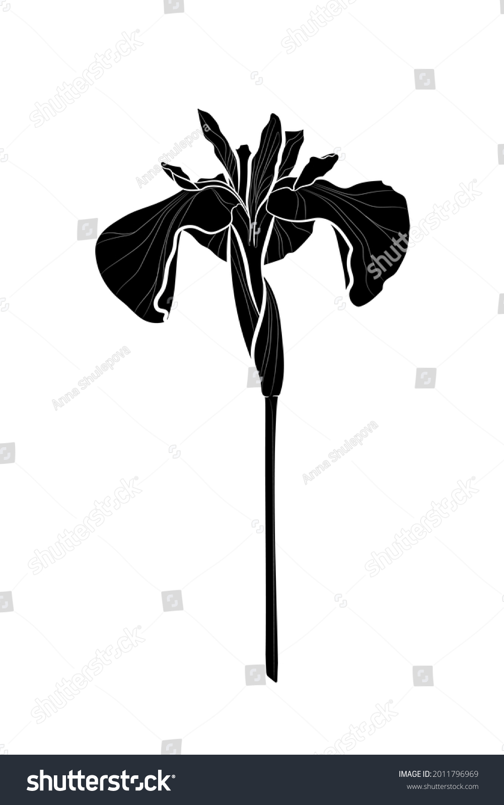 Black Silhouette Iris Flower On White Stock Vector (Royalty Free ...