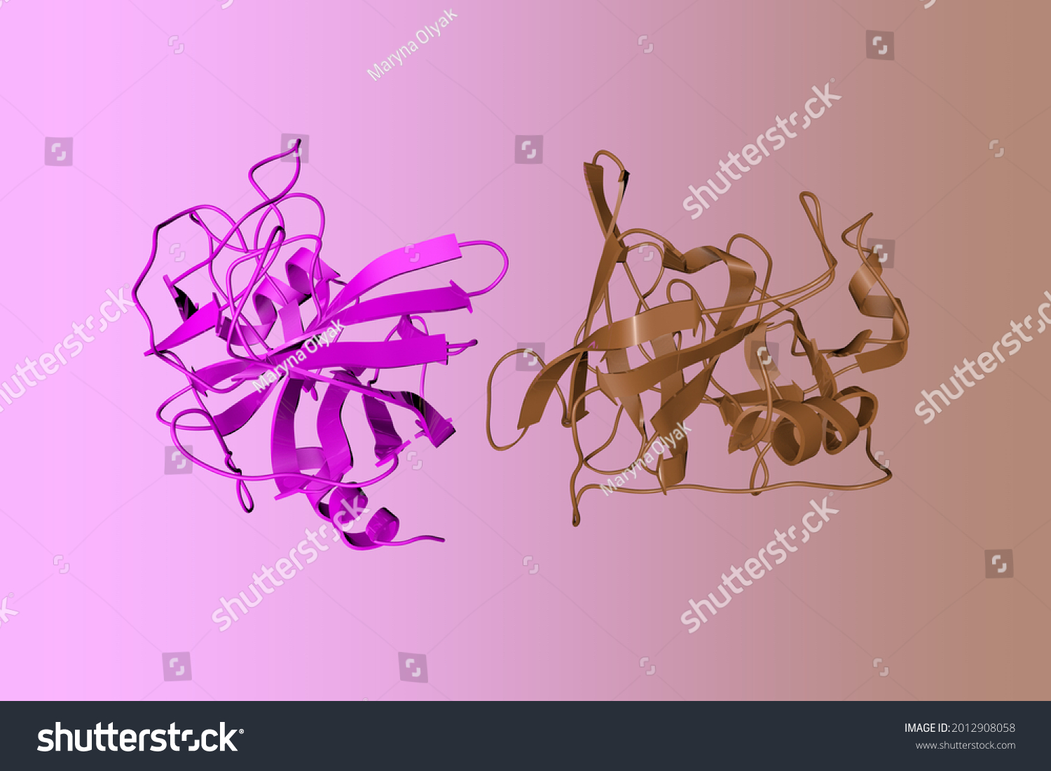 Human Granzyme B Protein That Found Stock Illustration 2012908058 ...