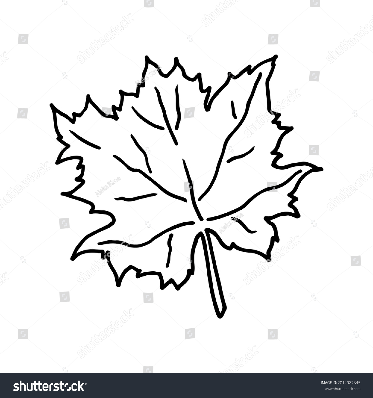 School Maple Leaf Doodle Hand Drawn Stock Vector (royalty Free 