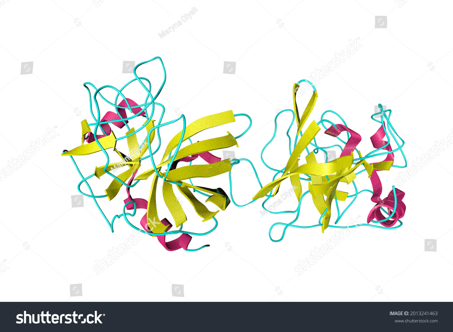 Crystal Structure Human Granzyme B That: ภาพประกอบสต็อก 2013241463 ...