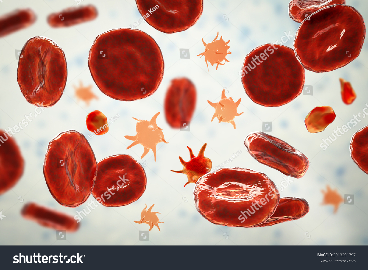 Platelets Blood Smear 3d Illustration Activated Stock Illustration ...