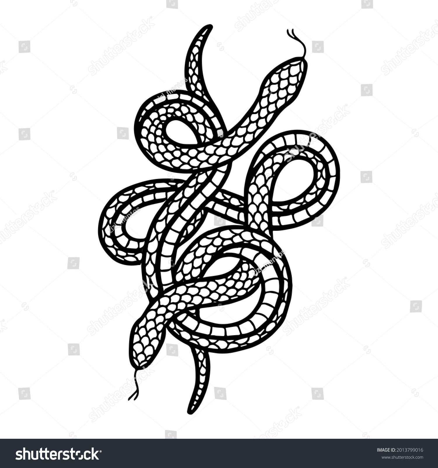 Snake Doodle Illustration Traditional Tattoo Vector Stock Vector ...