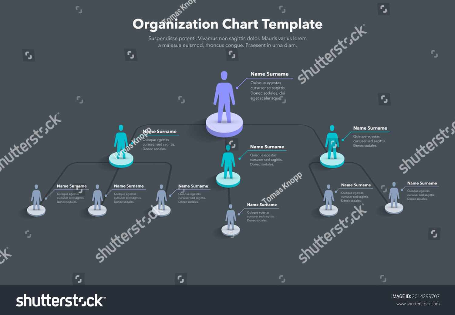 Company Organization Chart Template Place Your Stock Vector (Royalty ...