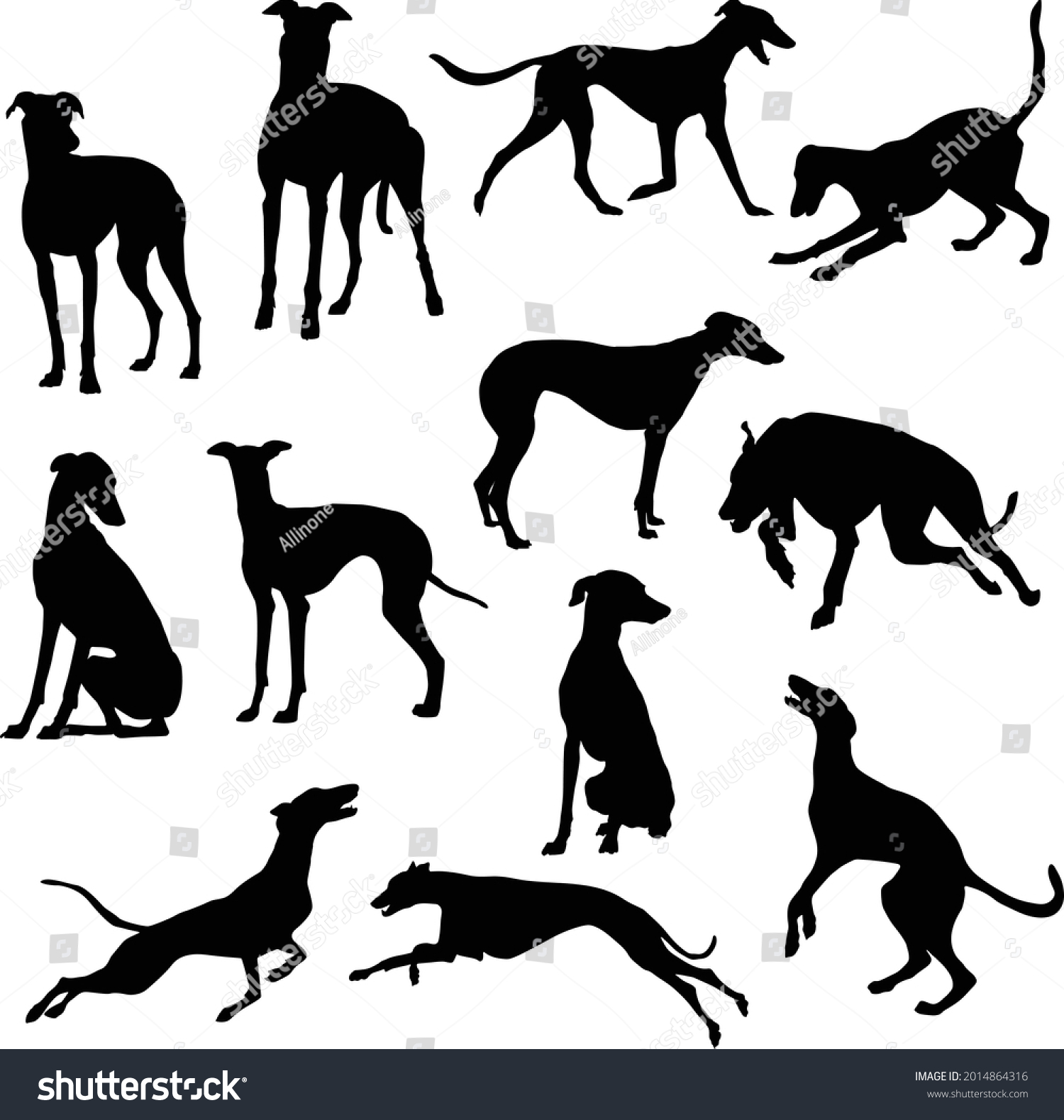 Set Greyhound Dog Silhouette Vector Illustration Stock Vector (Royalty ...