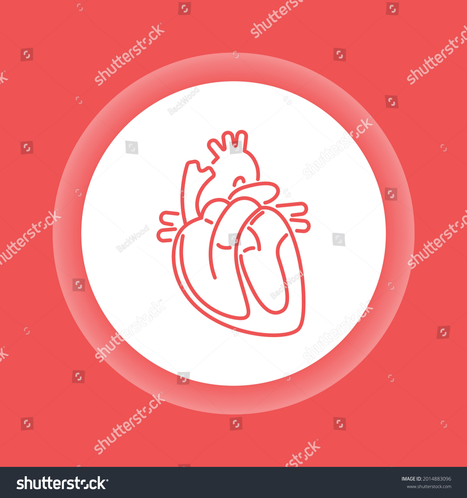 Anatomy Cardiovascular System Color Button Icon Stock Vector Royalty Anatomy Cardiovascular System Color Button Icon Stock Vector Royalty
