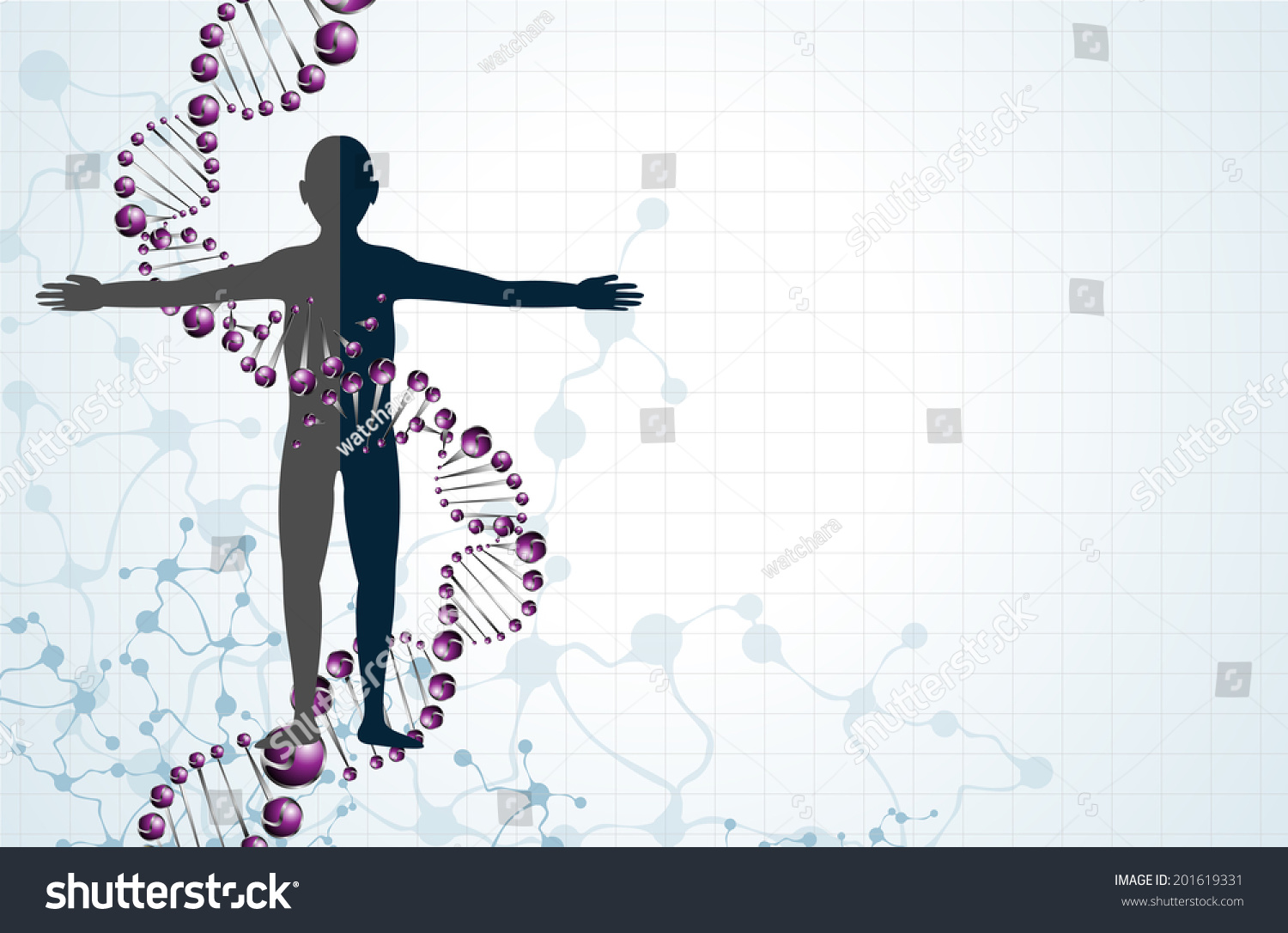 Dna Body Vector Stock Vector Royalty Free Shutterstock