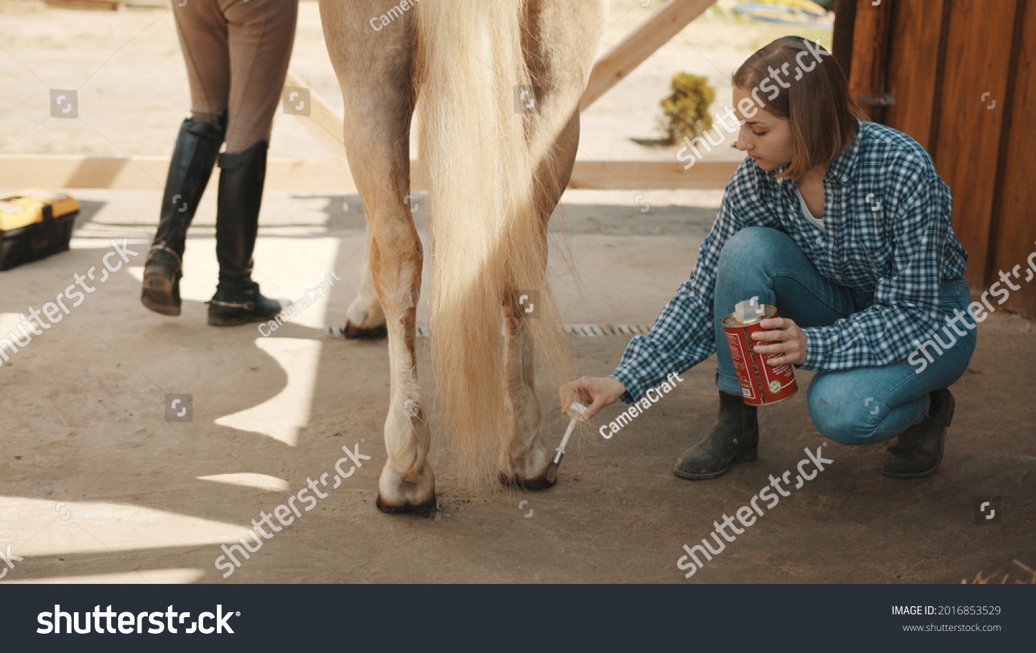 726 Horse's hoove Images, Stock Photos & Vectors | Shutterstock