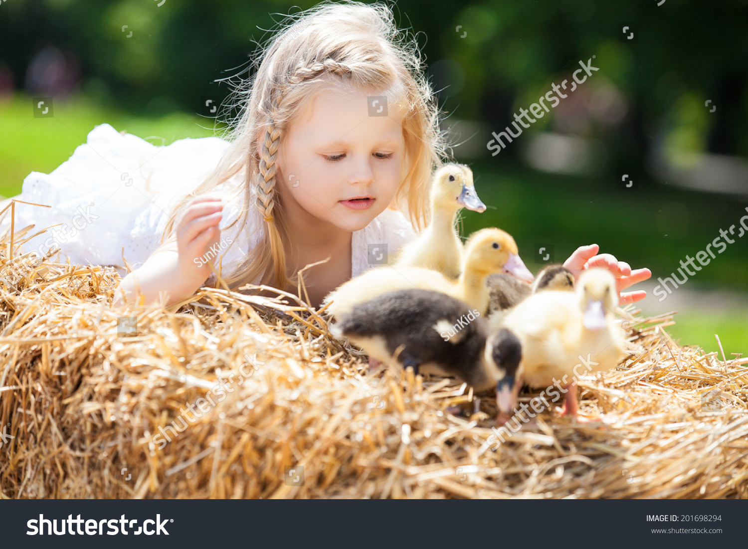 Little Girl Duckling Stock Photo 201698294 | Shutterstock