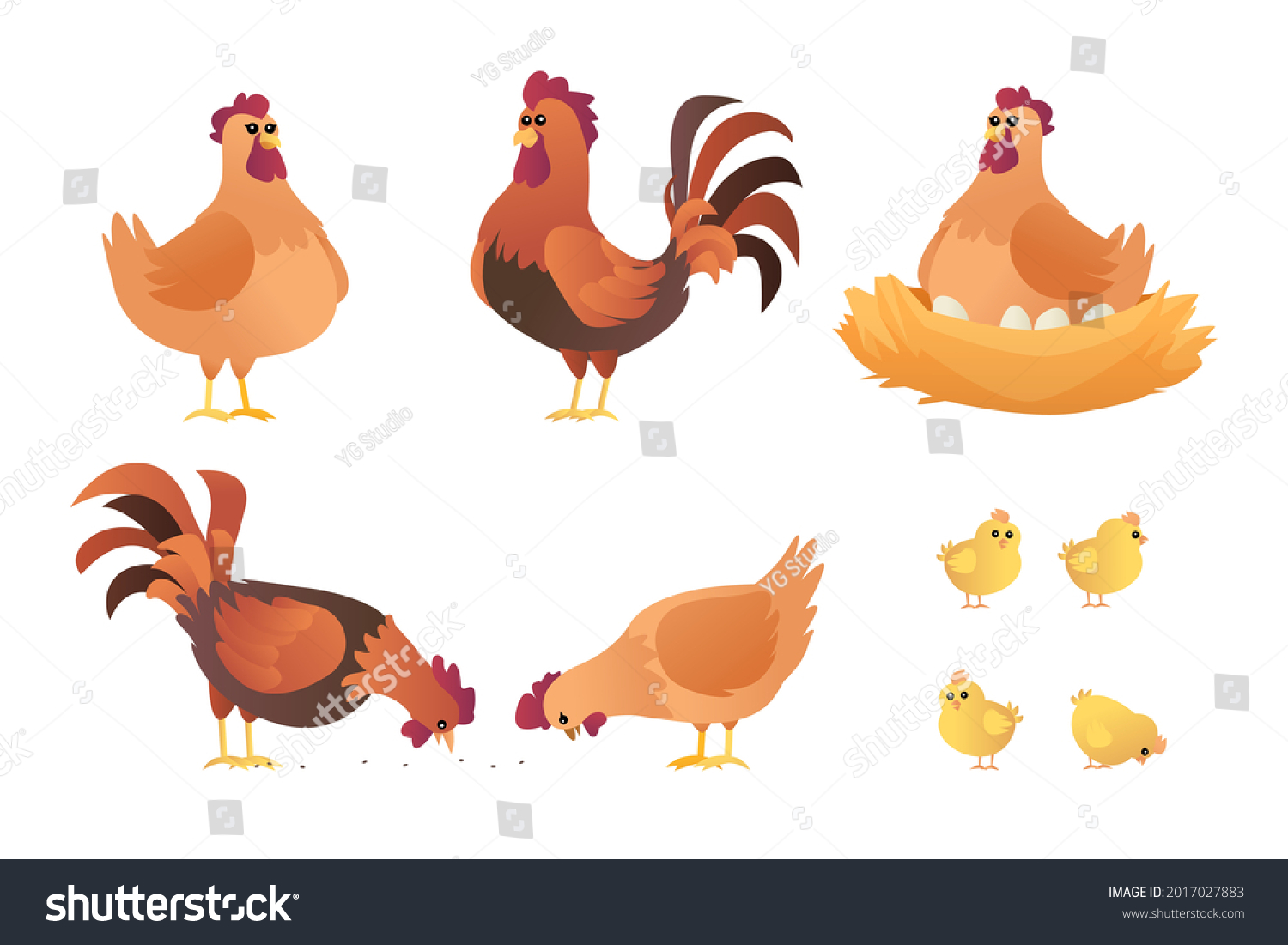 Set Roosters Hens Chicks Cartoon Chicken Stock Vector (Royalty Free ...