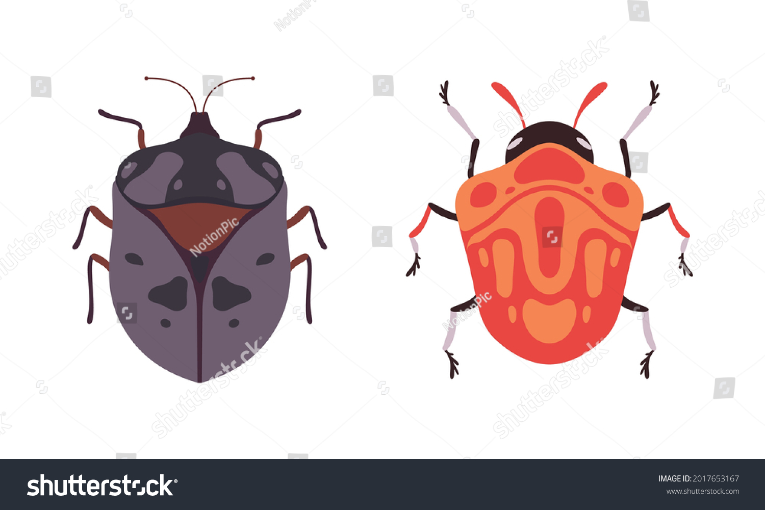 Bug Species Set Top View Bugs Stock Vector Royalty Free 2017653167