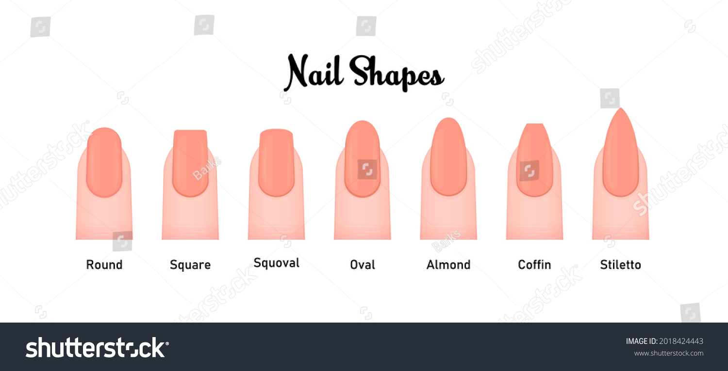 Various Nail Shapes Vector Illustration Set Stock Vector (Royalty Free ...