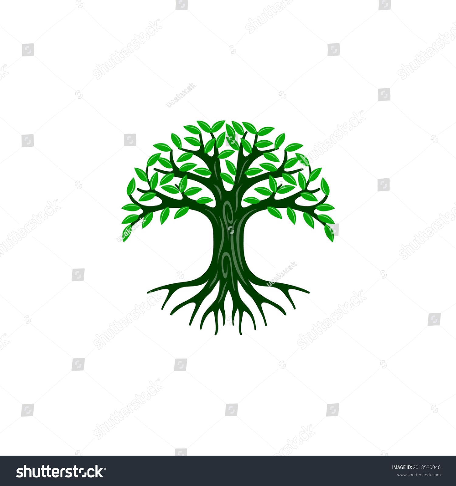 Green Tree Life Oak Banyan Leaf Stock Vector (Royalty Free) 2018530046 ...