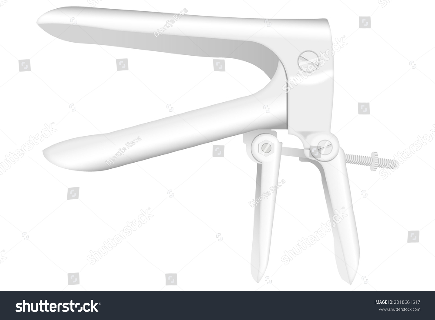 Speculum Duckbillshaped Device Used Gynecological Pelvic Stock