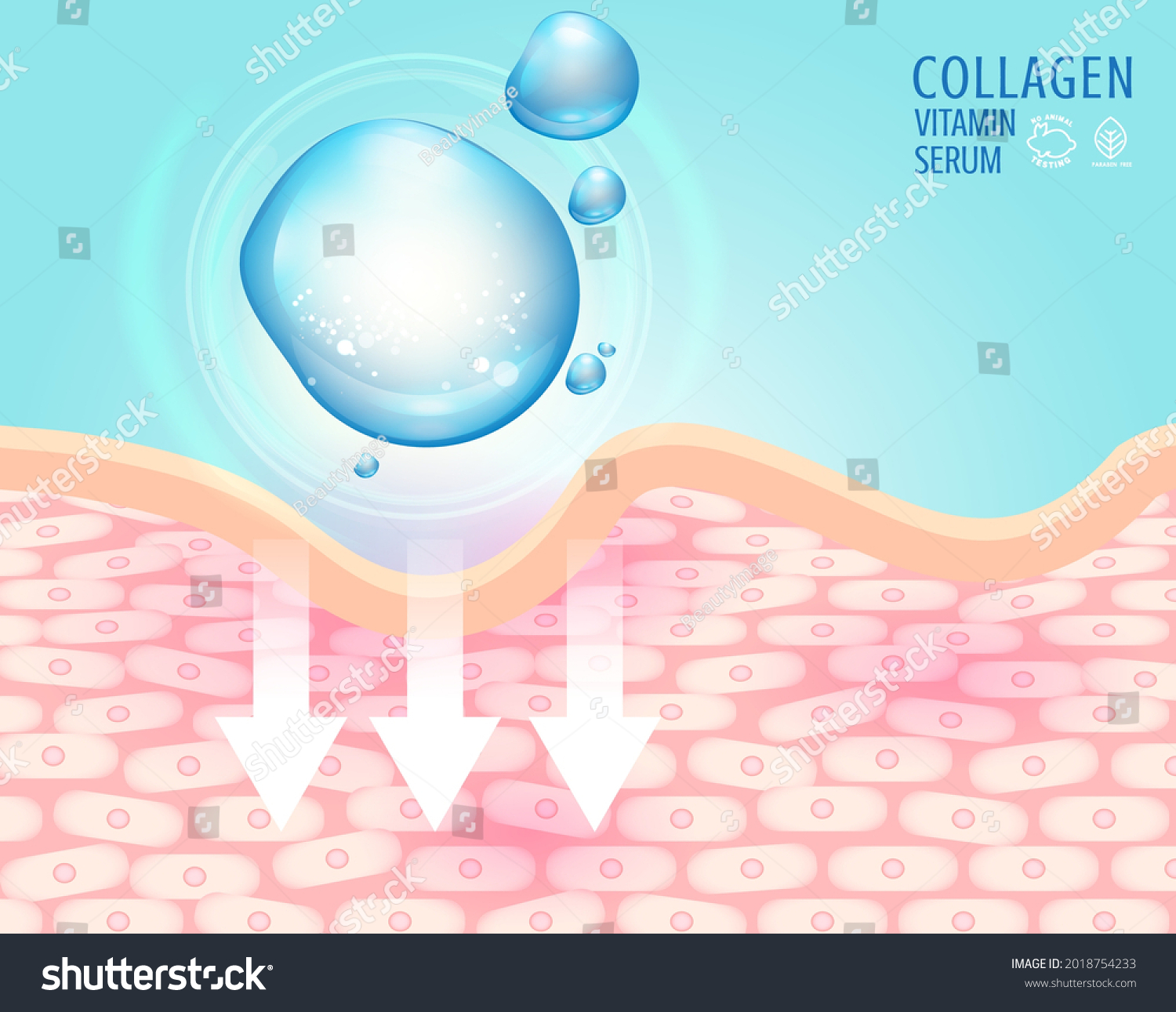 Collagen Serum Vitamin Hyaluronic Acid Skin Stock Vector (Royalty Free ...